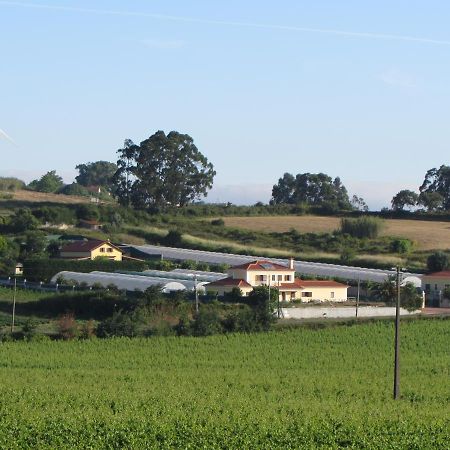 Гостьовий будинок Quinta Sobral Prestige - Little Rustic Собра́л-де-Мо́нте-Агра́су Екстер'єр фото